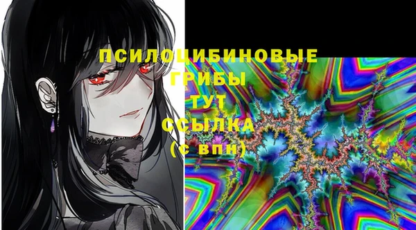 МДПВ Пестово