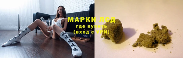 ГАЛЛЮЦИНОГЕННЫЕ ГРИБЫ Осташков