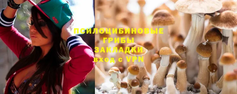 Галлюциногенные грибы Cubensis  Зея 